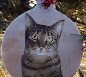30 ideas que todo dueo de una mascota debe conocer, Haga un adorno de su gato para Navidad