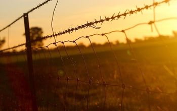 Why You Should Prefer Barbed Wire Fence Installation