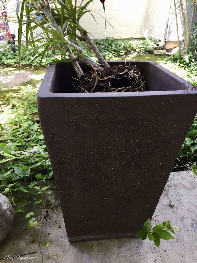 dicas simples para plantar em um vaso maior