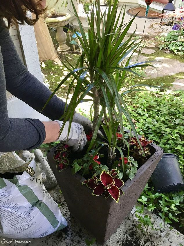simple tips for planting in a larger size pot