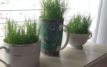 Simple Decor Tea Cup Lawn Grass