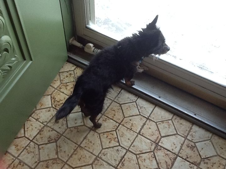 How Can I Get Rid Of The Urine Smell From A Tile Floor Hometalk