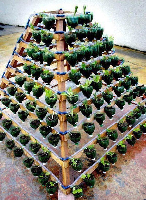 30 maneras de dar estilo a tu jardn, Coloque las plantas en botellas de pl stico