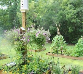 s 30 ways for you to style your garden, Arrange A Garden Special For Bees With Flower