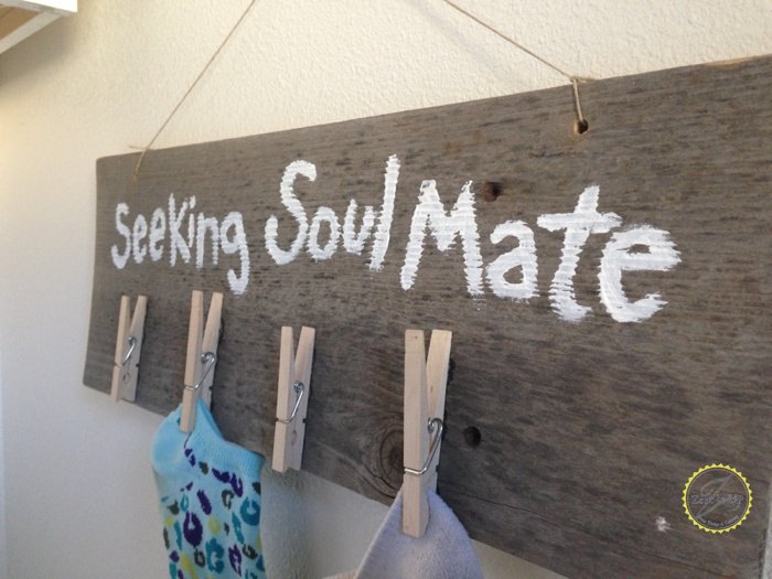 seeking soul mate sock organizer
