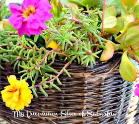 s here are 10 genius organizing ideas using dollar store bins baskets, Transform A Basket Into A Succulent Garden