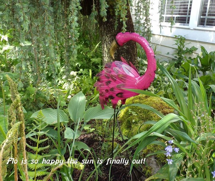 e peonies are starting