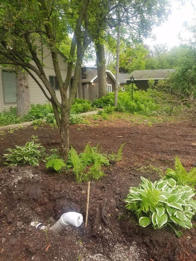 q what can we do with a yard that was left untouched natural