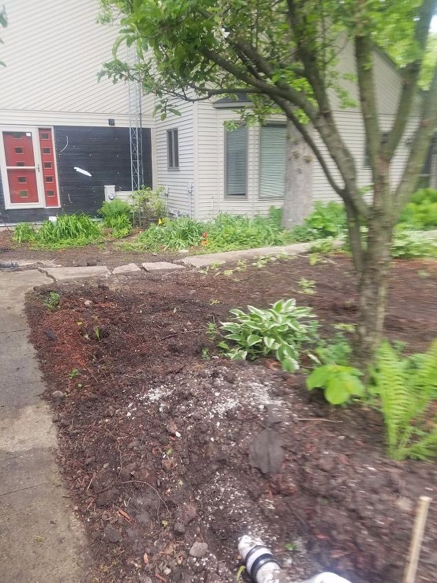 q what can we do with a yard that was left untouched natural