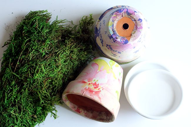 fabric and moss covered pots
