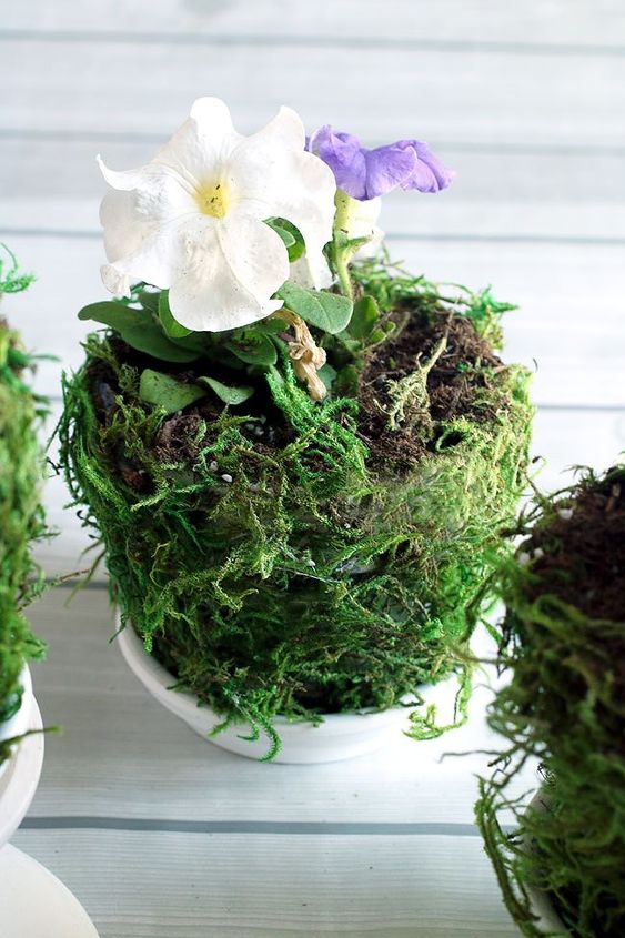 fabric and moss covered pots