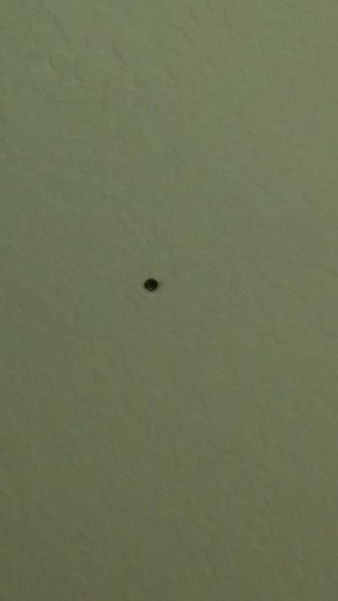 q why are the nails in my drop drown ceiling popping out