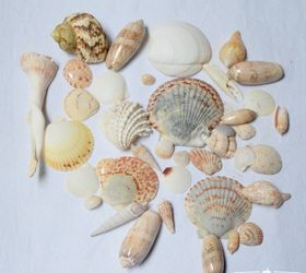 beach shells canvas a quick diy project