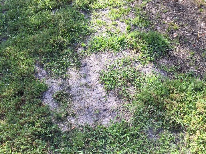 q lawn help