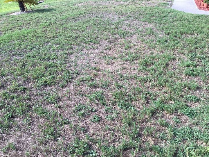 q lawn help