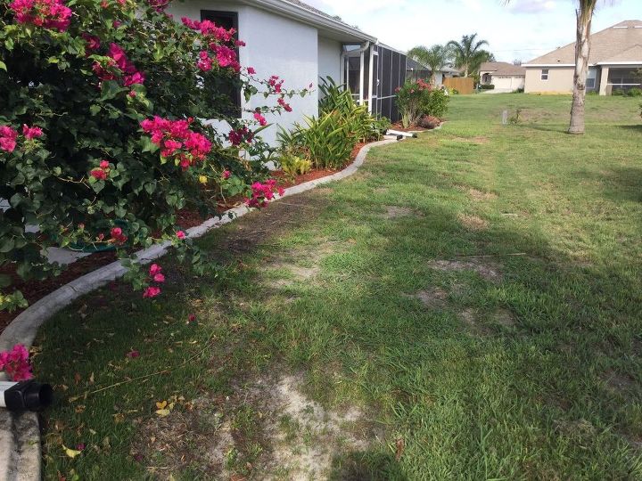 q lawn help