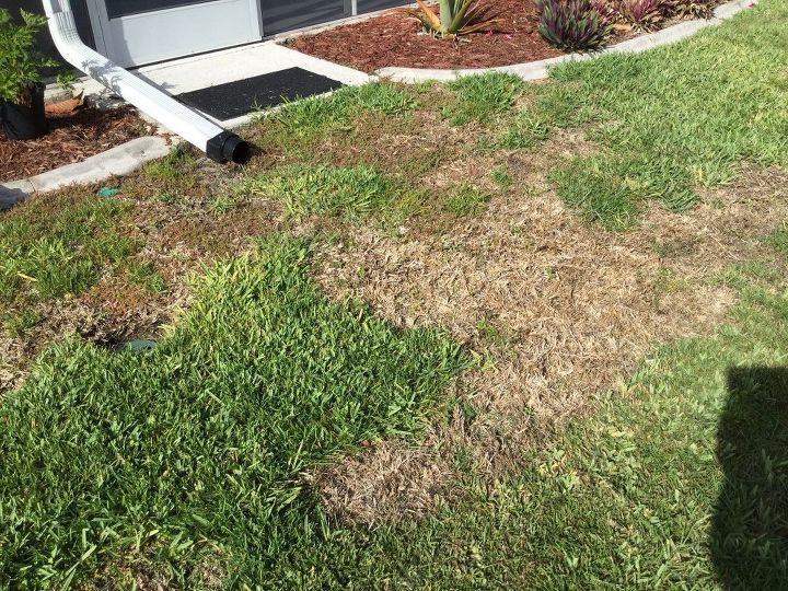 q lawn help