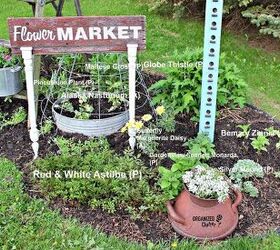 planting a junk garden border 2017