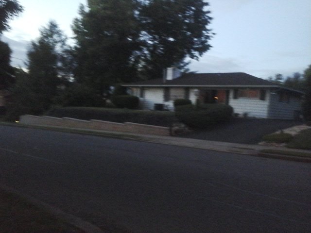 q what flowers shrubs would grow best on this bank