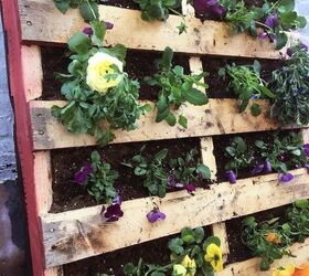 s 10 wonderful ways to use pallets and the results are beautiful, Plant A Garden Inside Of Pallets