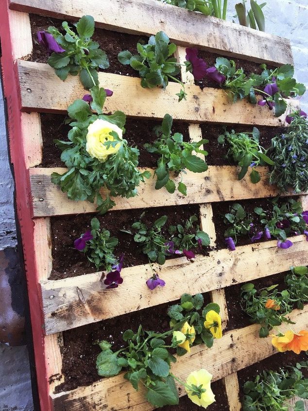 s 10 wonderful ways to use pallets and the results are beautiful, Plant A Garden Inside Of Pallets