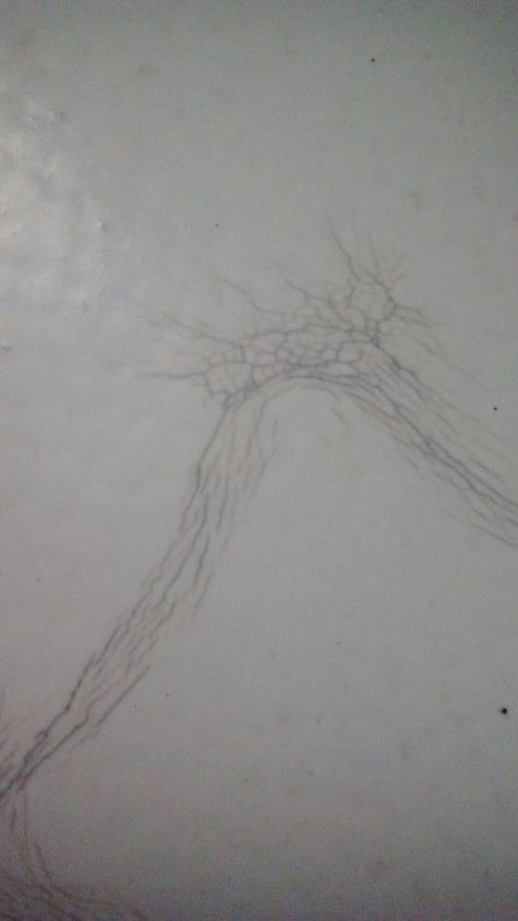 q fiberglass shower floor is cracking and unable to get clean looking