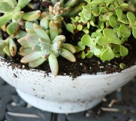 turn a terra cotta pot into a modern succulent cement planter