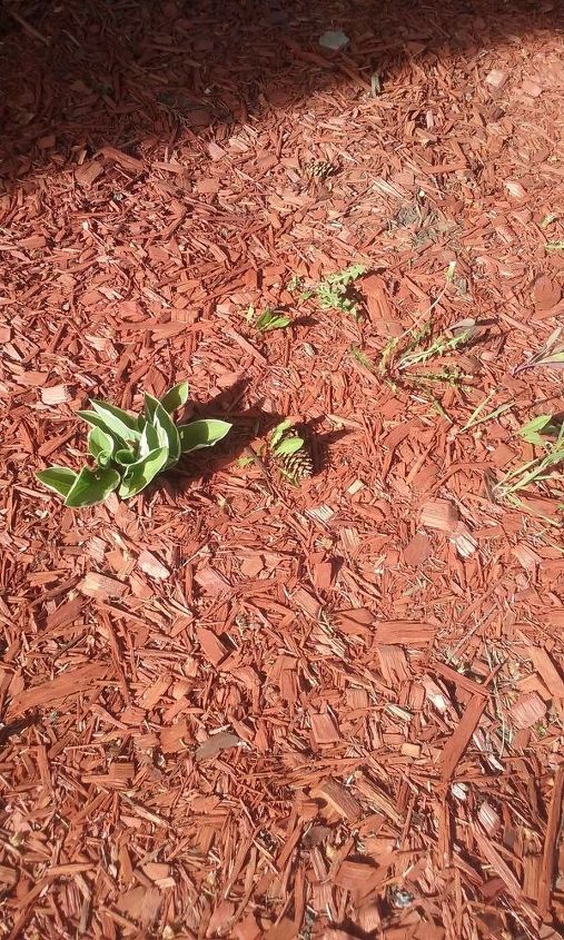 q is there anything that you can use to stop weeds from growing