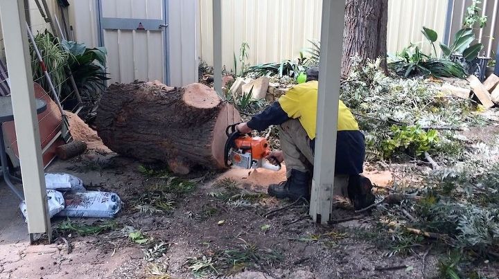 Cut Up A Fallen Down Tree To Make This Unique Idea For Your Living Room Hometalk