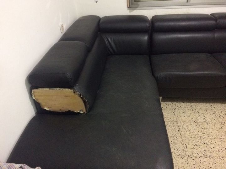 my dog is eating my couch what can i do