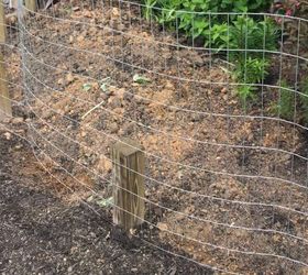 She brings chicken wire outside & here's what neighbors see 2 days later