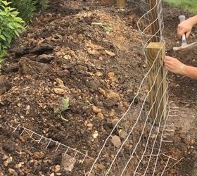 She wraps chicken wire around her garden & here's what neighbors see 2 days later