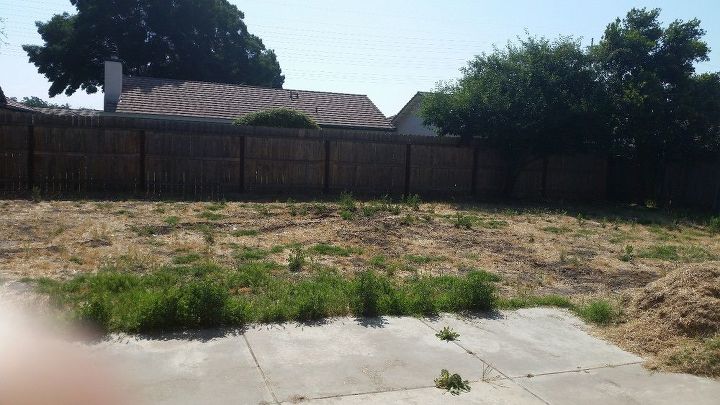 q how do i fix back yard