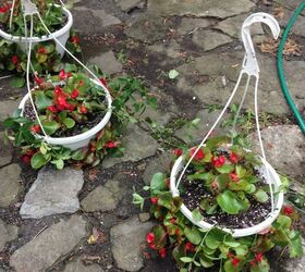 Hanging Pot Flower Balls