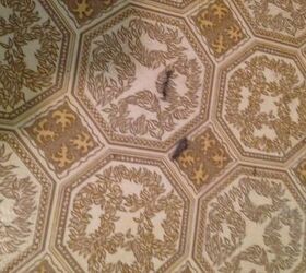 How can you cover an outdated linoleum when you rent your house? Hometalk