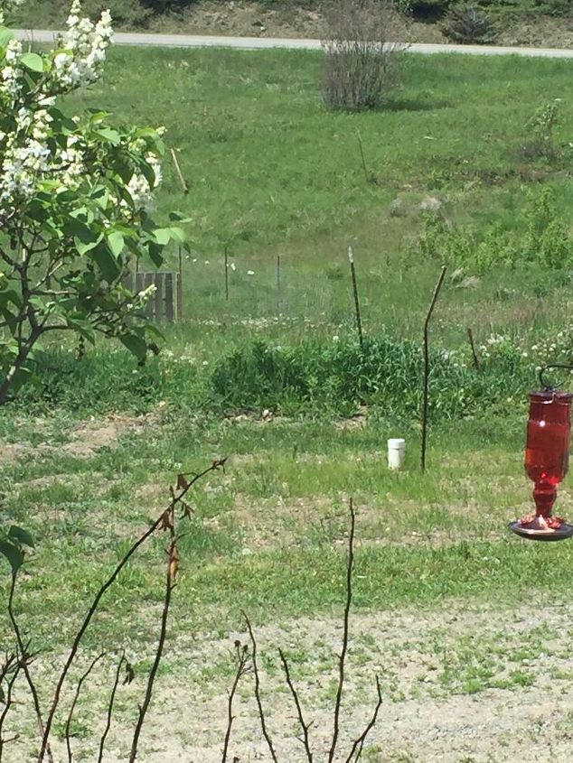 q how would you cover up a septic pipe sticking up out of the ground