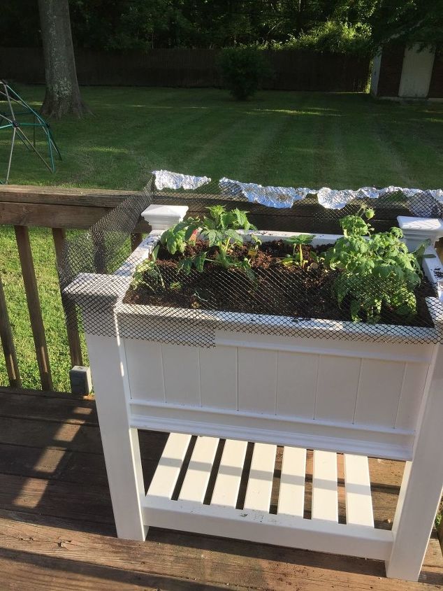 q i need help keeping animals from my garden