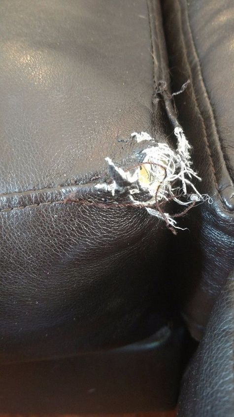 How Can I Repair My Couch Cushion, How To Fix Chewed Leather