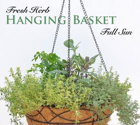 getting creative saving money on hanging baskets