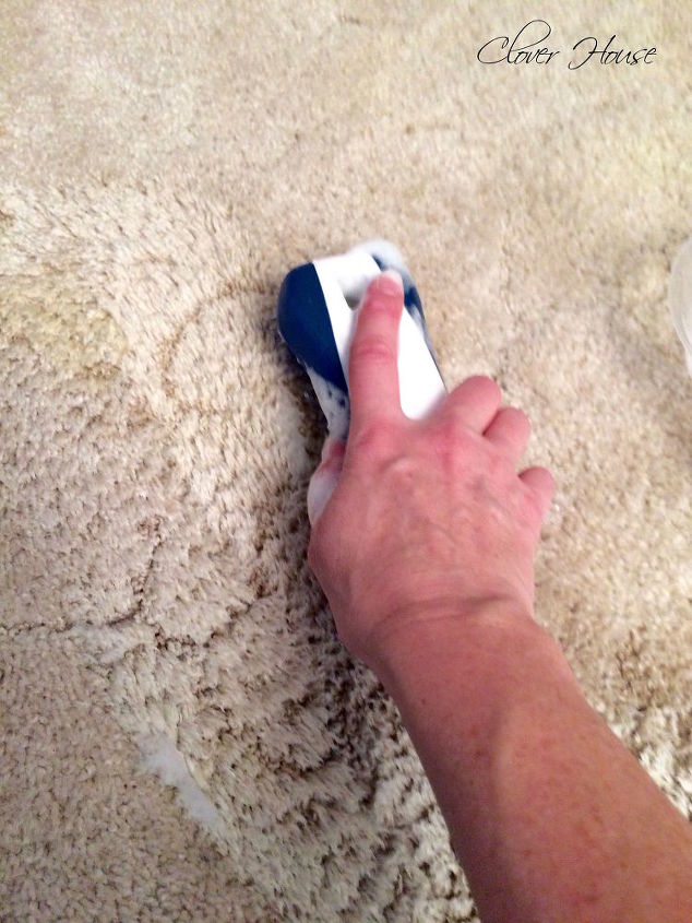 30 trucos esenciales para limpiar tu casa, Elimine las manchas de las mascotas con per xido