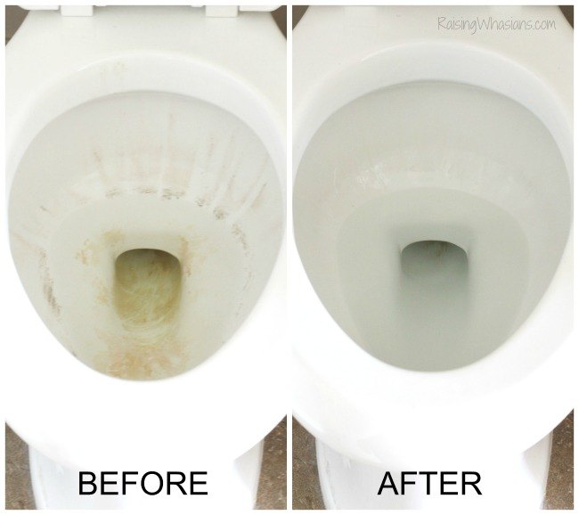 30 essential hacks for cleaning around your home, Use Rosemary To Make Your Toilet Shine