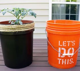 tomatoes in 5 gallon buckets