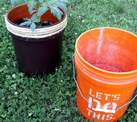 Transform a 5 Gallon Bucket Into a Tomato Planter | Hometalk