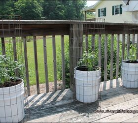 s the easiest ways to grow a bumper crop of tomatoes, Expand your garden by growing in buckets