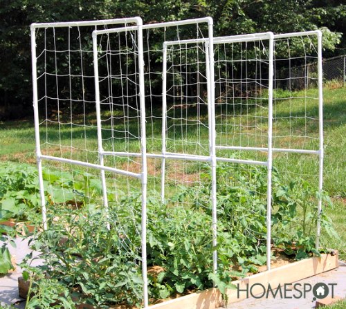s the easiest ways to grow a bumper crop of tomatoes, Build a tomato trellis from PVC pipes