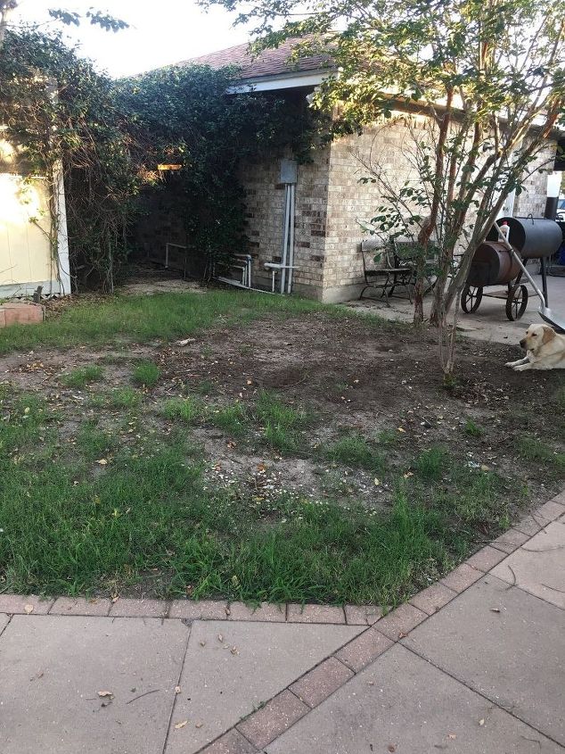 q make something where grass will not grow