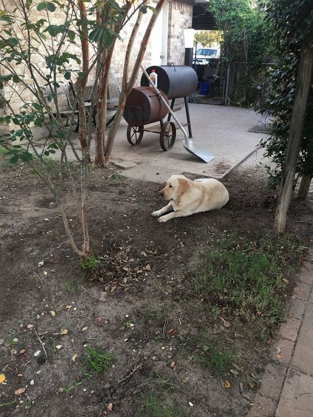 q make something where grass will not grow