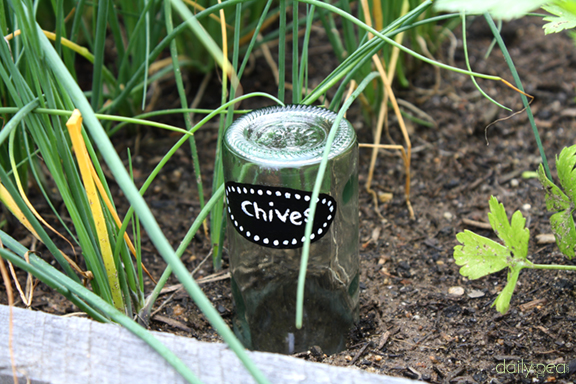 s 15 cheeky ideas perfect for vino crafters, Use Bottles To Mark The Veggies In The Garden