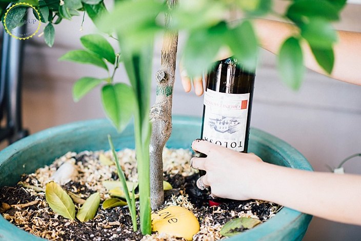 s 15 cheeky ideas perfect for vino crafters, Let Your Bottles Water The Plants Instead