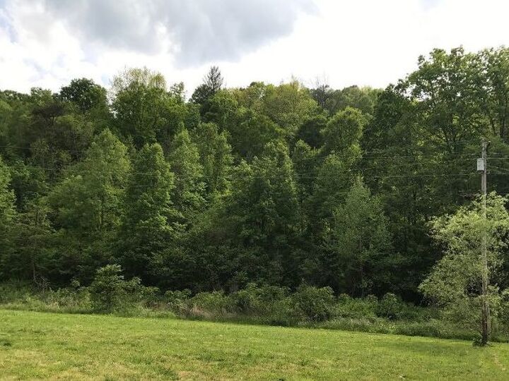 q what can i do with a backyard that floods